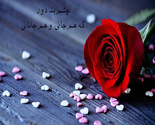 عکس گل دوست