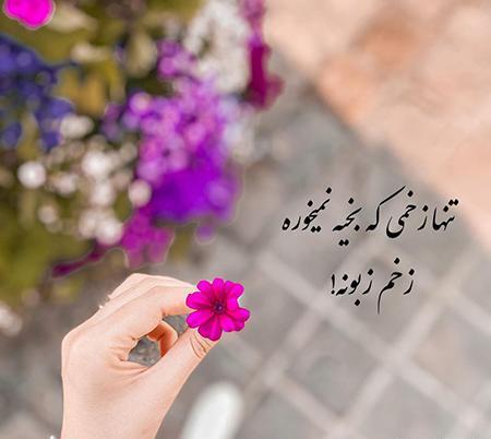 عکس گل دوست