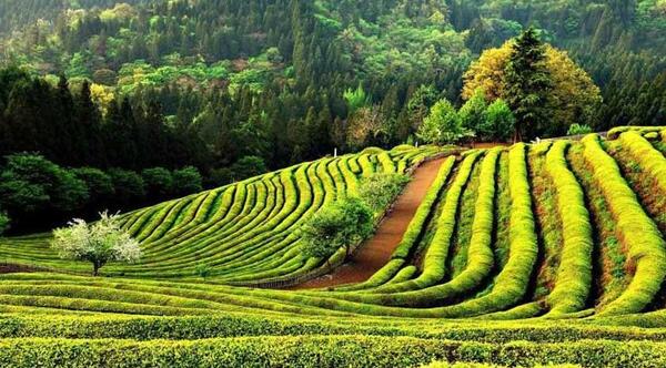 عکس مزرعه کوچک دوست داشتنی