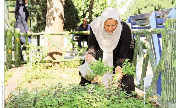 عکس مزرعه کوچک دوست داشتنی