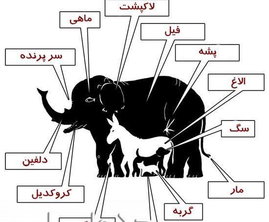 عکس تست دوست شناسی
