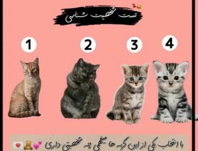 عکس تست دوست شناسی