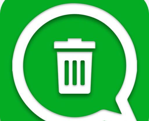 ریکاوری عکس واتساپ نی نی سایت