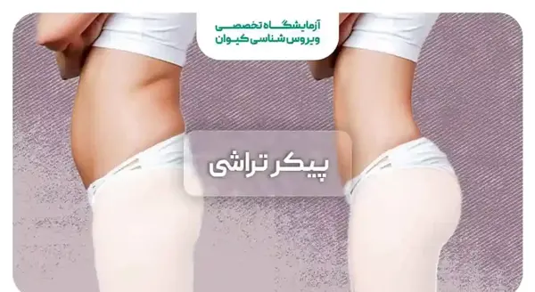 عکس پیکر تراشی زنان نی نی سایت