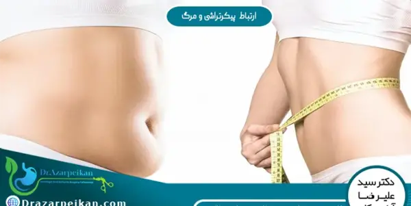 عکس پیکر تراشی زنان نی نی سایت