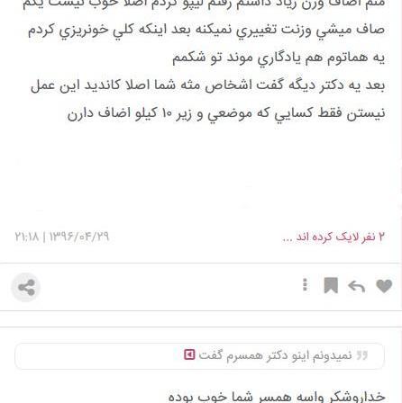 عکس پیکر تراشی زنان نی نی سایت