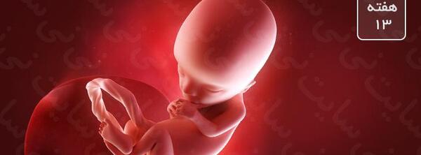 عکس سونو جنین دختر ۱۳ هفته نی نی سایت
