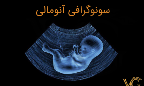 عکس سونوگرافی آنومالی نی نی سایت