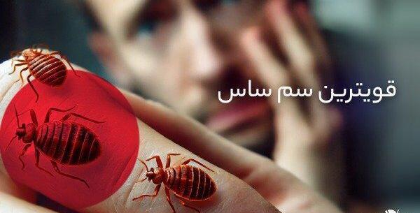 عکس ساس خانگی نی نی سایت