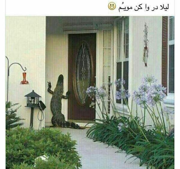 عکس چت گروهی