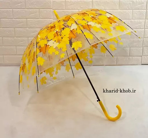 عکس فانتزی چتر