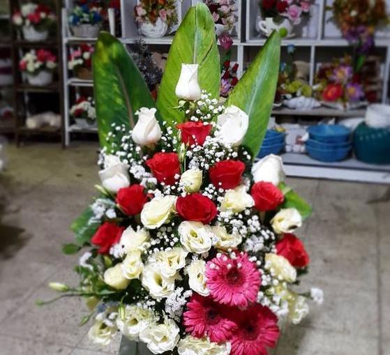 عکس گل خواستگاری نی نی سایت