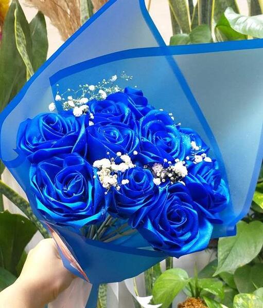 عکس شاخه گل نی نی سایت