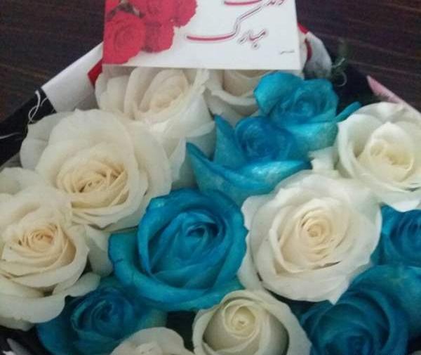 عکس شاخه گل نی نی سایت