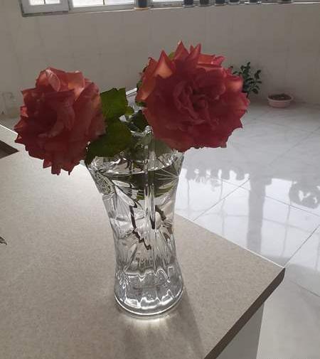 عکس شاخه گل نی نی سایت