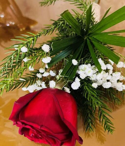عکس شاخه گل نی نی سایت