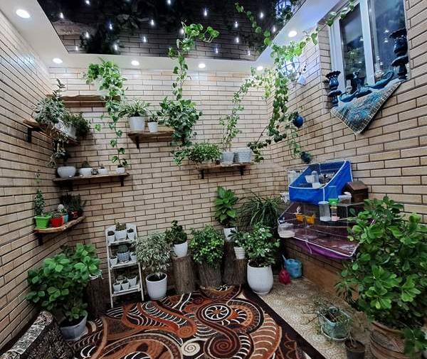 عکس گل پتوس نی نی سایت