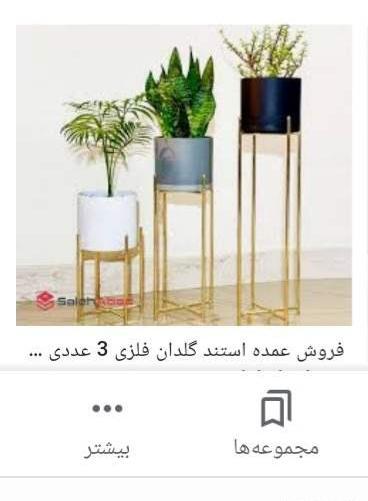 عکس استند گل هاتون نی نی سایت