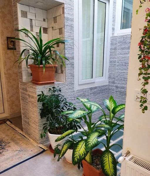 عکس استند گل هاتون نی نی سایت
