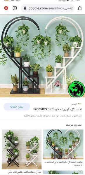 عکس استند گل هاتون نی نی سایت