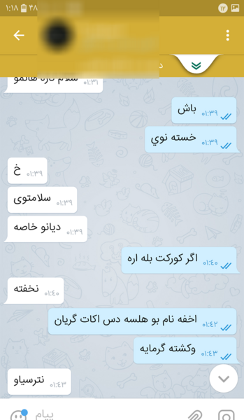 عکس چت های رل