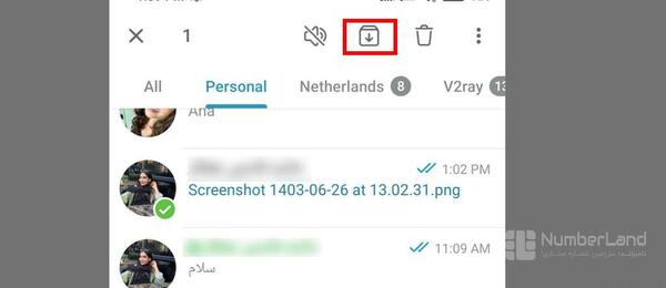 ایا در سکرت چت عکس ذخیره میشود