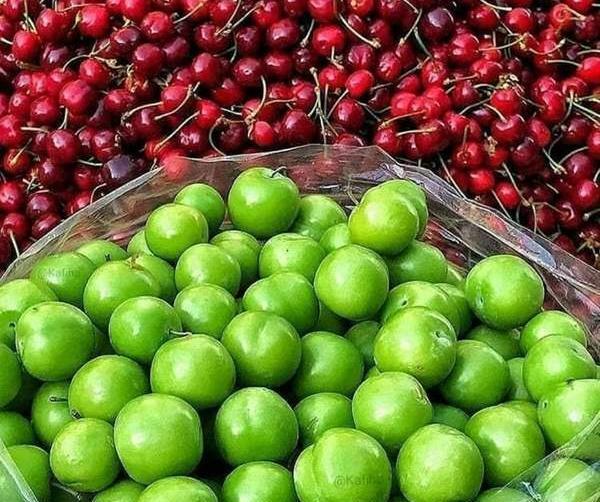 عکس بهترین لباستون نی نی سایت