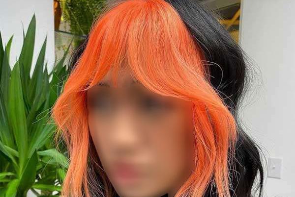 عکس چتری پرده ای