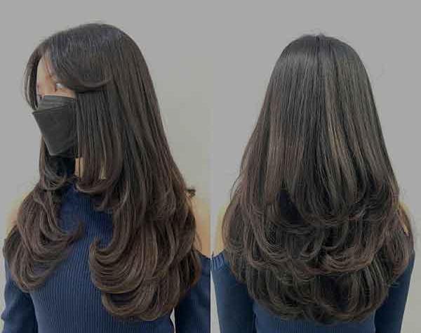 عکس چتری پروانه ای