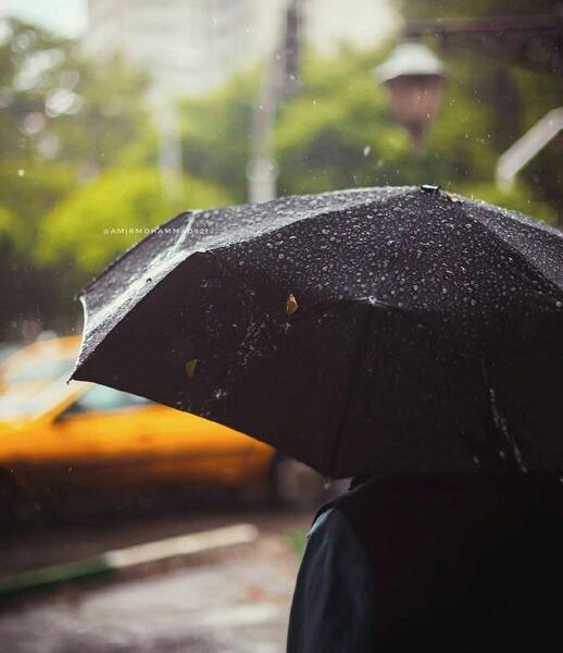 عکس چتر در باران
