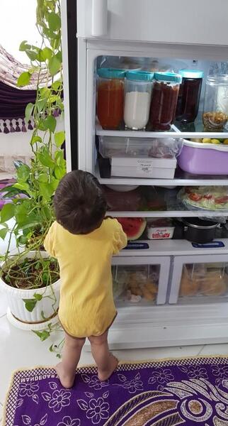 عکس از یخچال نی نی سایت