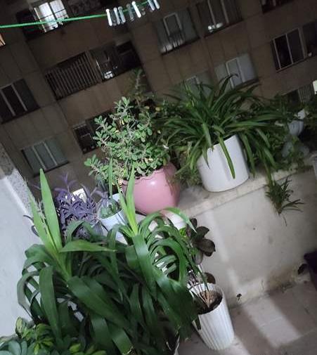 عکس خونتون یهویی نی نی سایت