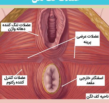 عکس واژن بعد از زایمان طبیعی نی نی سایت