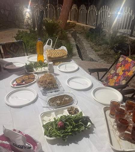 عکس شام مهمونی نی نی سایت