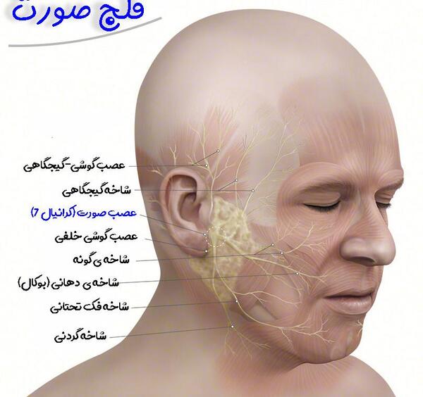 چرا تو عکس صورتم کج میشه نی نی سایت