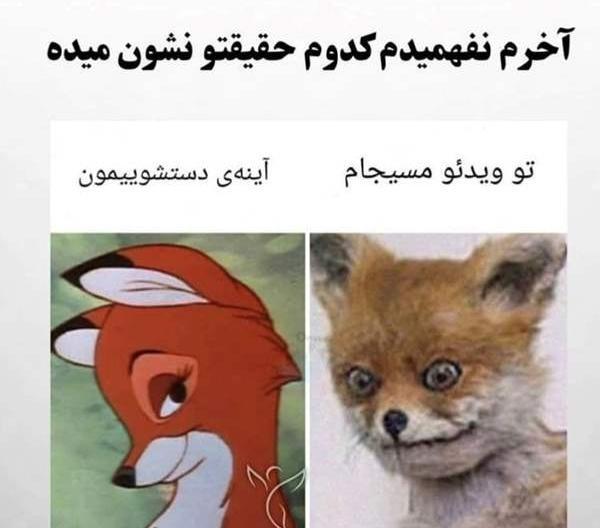 نامتقارن بودن صورت در عکس نی نی سایت