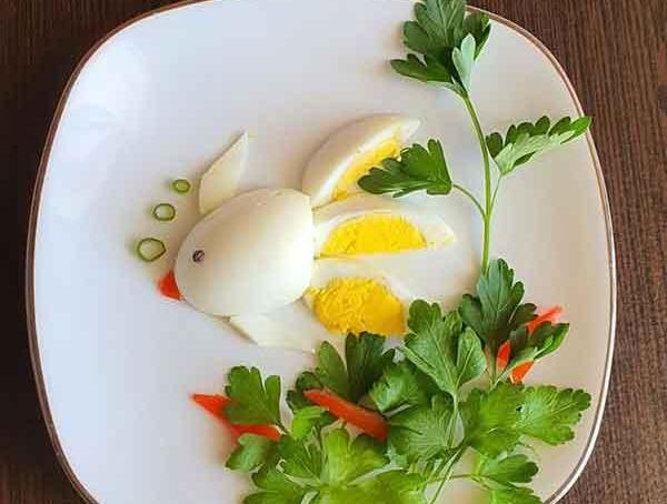 عکس صبحانه سالم برای مدرسه ابتدایی نی نی سایت