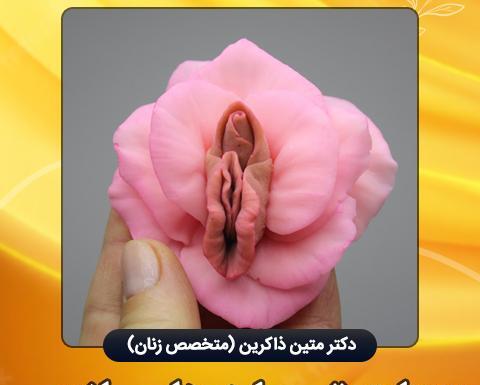 عکس قارچ ناحیه تناسلی زنان نی نی سایت