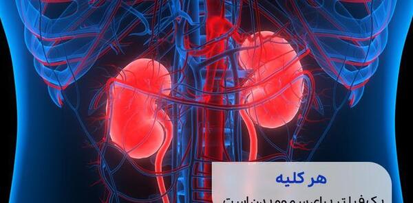 عکس رنگی کلیه درد داره نی نی سایت