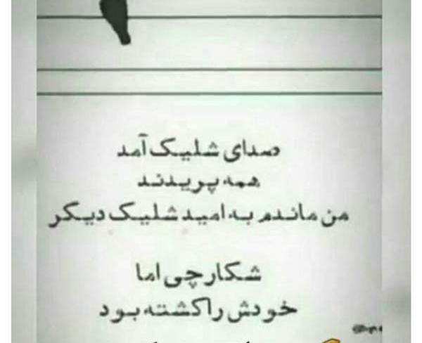 متن برای زیر عکس خودم نی نی سایت