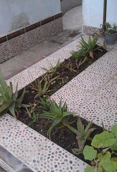 عکس حیاط خونه هاتون نی نی سایت