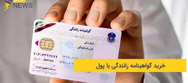 عکس گواهینامه جدید ۱۴۰۳ نی نی سایت
