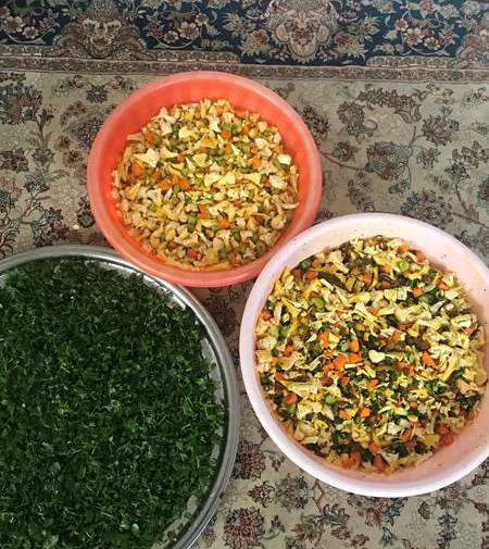 عکس ترشی هاتون نی نی سایت