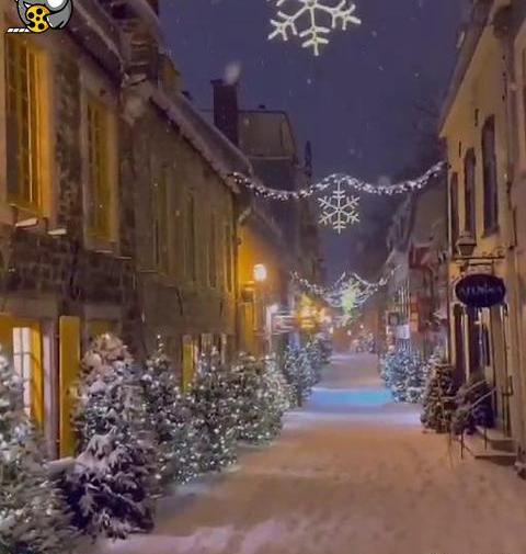 عکس هایده وضعیت واتساپ شاد