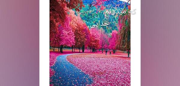 عکس هایده وضعیت واتساپ شاد