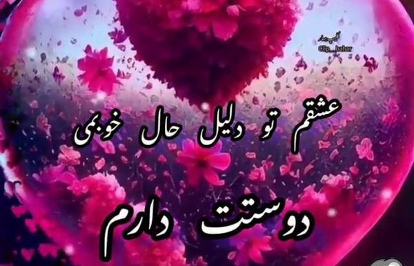 عکس کلیپ همسرم دوستت دارم برای وضعیت واتساپ