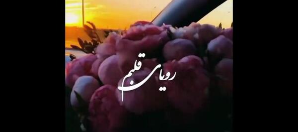عکس کلیپ همسرم دوستت دارم برای وضعیت واتساپ