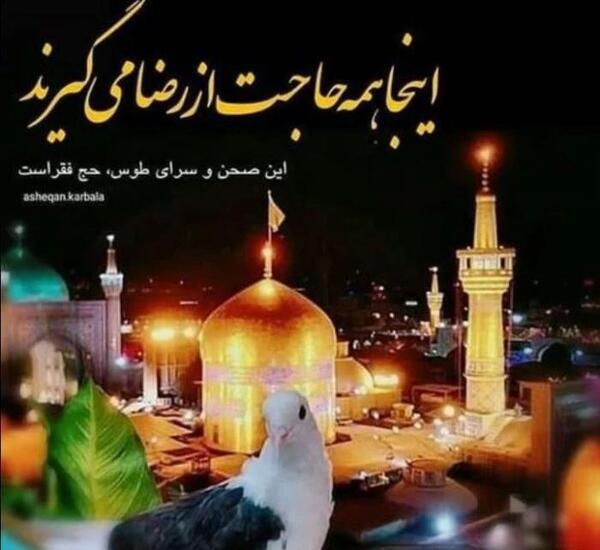 عکس کلیپ ولادت امام رضا برای وضعیت واتساپ