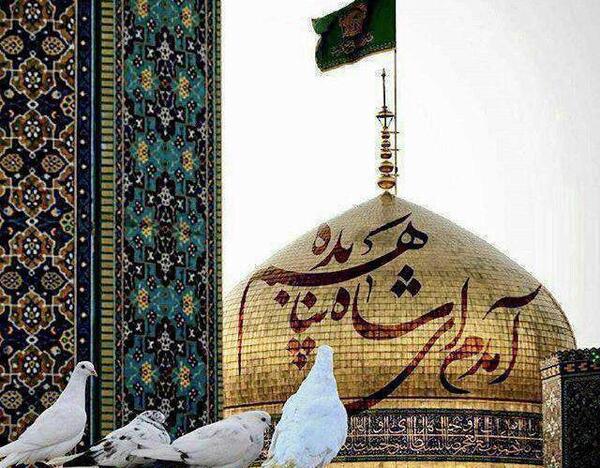 عکس کلیپ ولادت امام رضا برای وضعیت واتساپ
