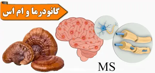 عکس بي صدا كردن وضعیت واتساپ نی نی سایت